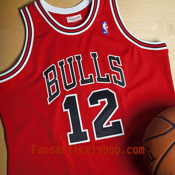 Herren NBA Chicago Bulls Trikot Michael Jordan 1989-90 Hardwood Classics 12 Authentic Swingman
